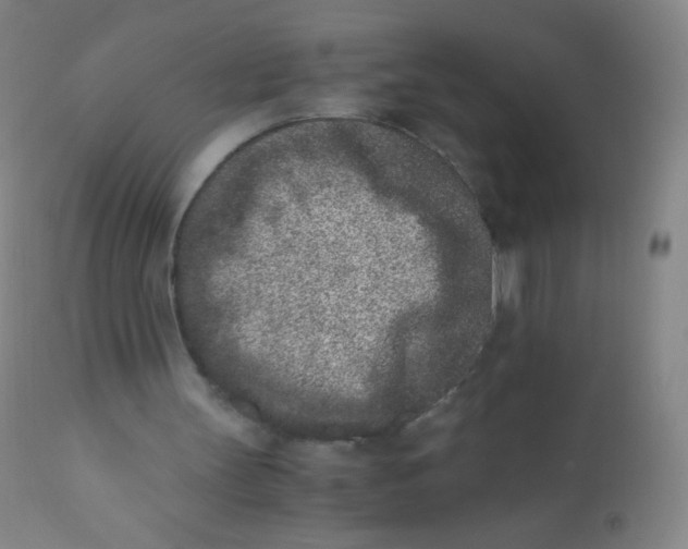 X0000110730147200907022118