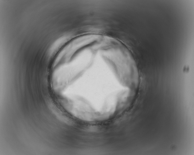 X0000110730149200907022118