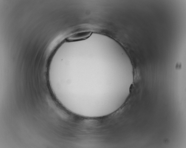 X0000110730150200907022118