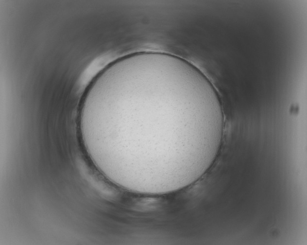 X0000110730151200907022118