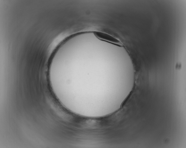 X0000110730152200907022118