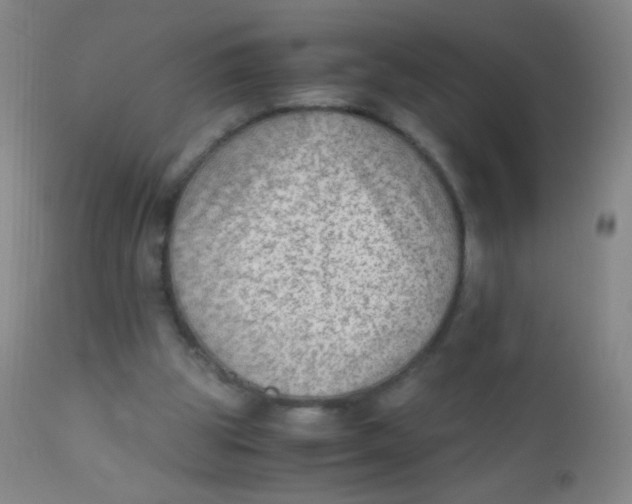 X0000110730153200907022118