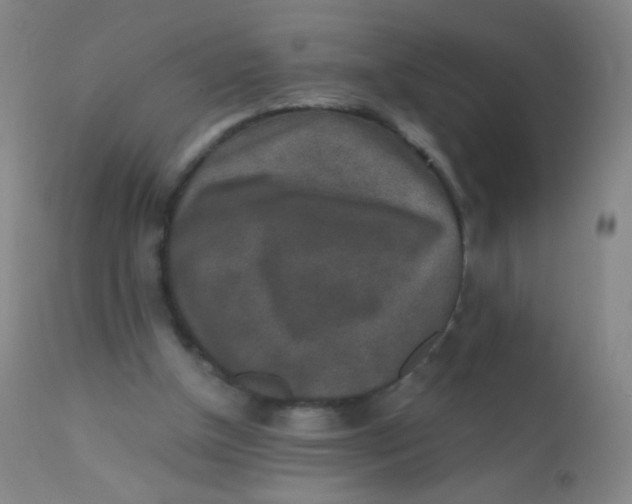 X0000110730154200907022118