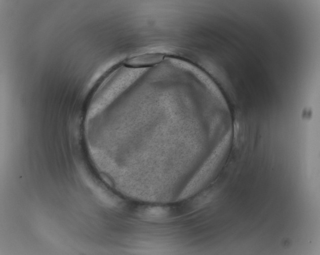 X0000110730156200907022118