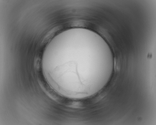 X0000110730157200907022118