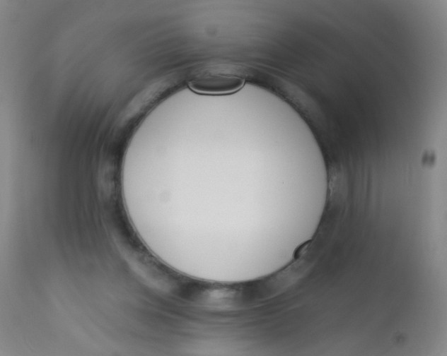 X0000110730158200907022118