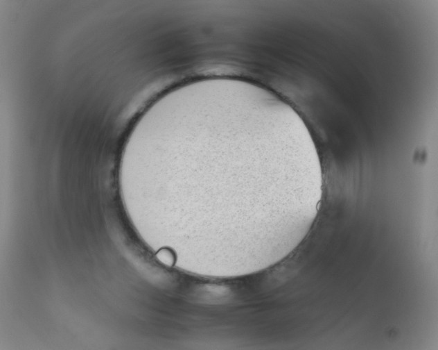 X0000110730159200907022118