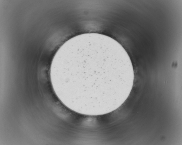 X0000110730162200907022118