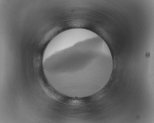 X0000110730163200907022118