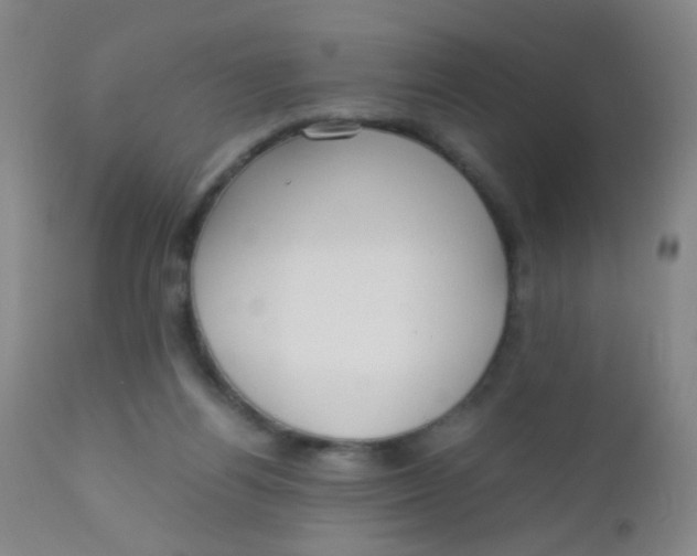 X0000110730164200907022118