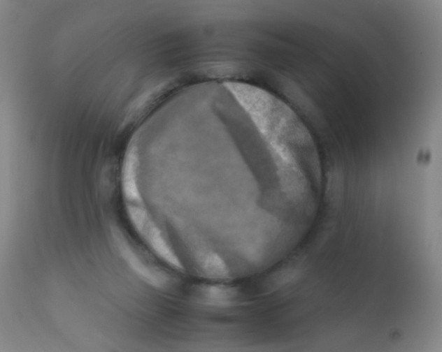 X0000110730165200907022118