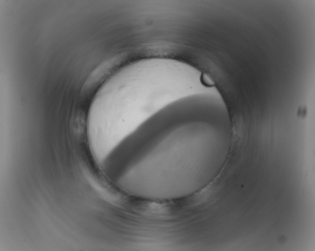 X0000110730166200907022118