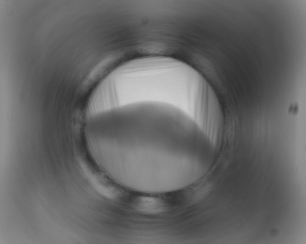 X0000110730167200907022118