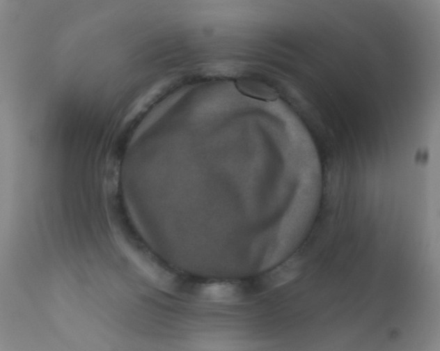 X0000110730168200907022119