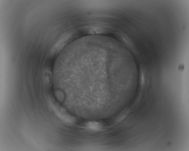 X0000110730169200907022119