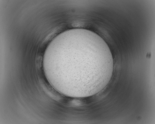 X0000110730171200907022119