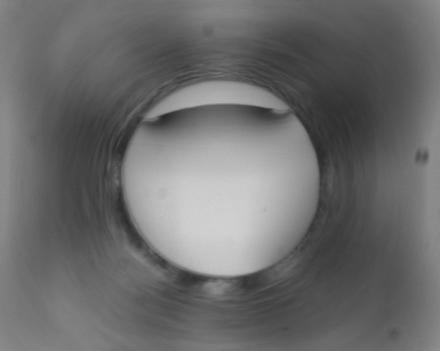 X0000110730172200907022119