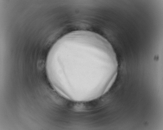 X0000110730177200907022119