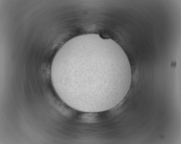 X0000110730179200907022119