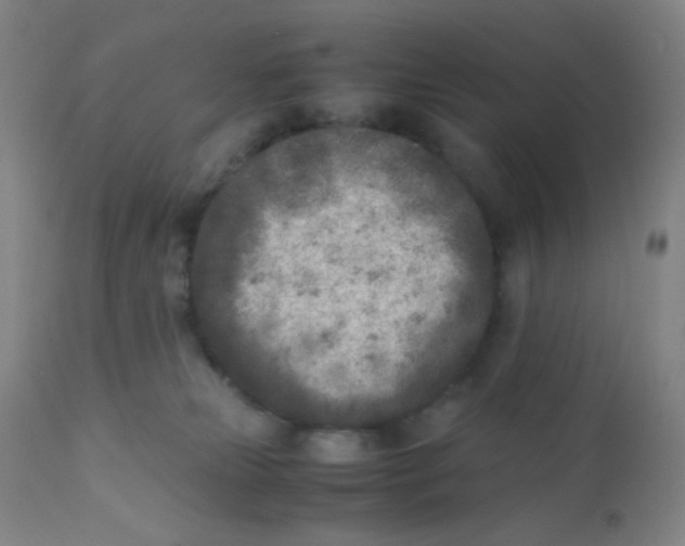 X0000110730181200907022119