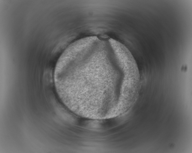 X0000110730182200907022119