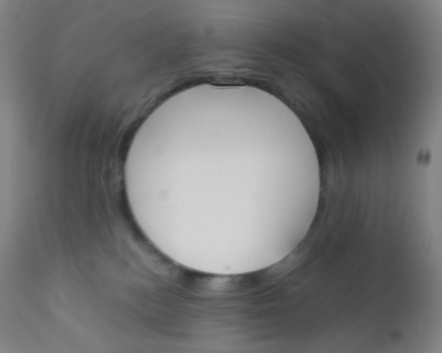 X0000110730184200907022119