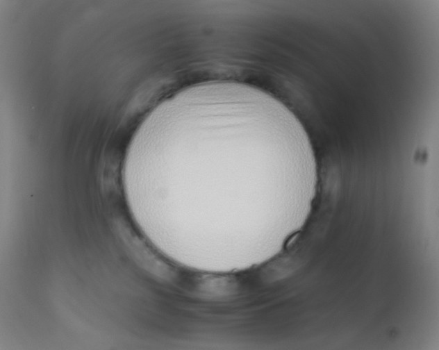 X0000110730185200907022119