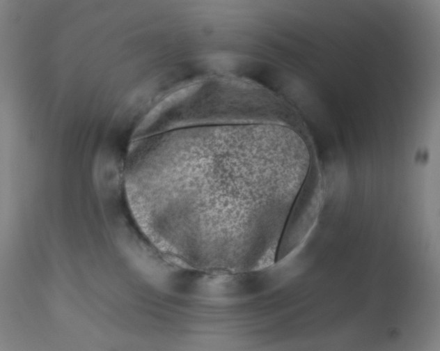 X0000110730186200907022119