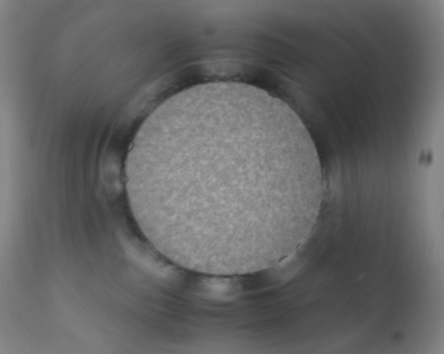 X0000110730187200907022119