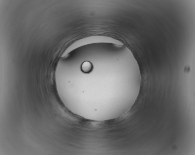 X0000110730188200907022119