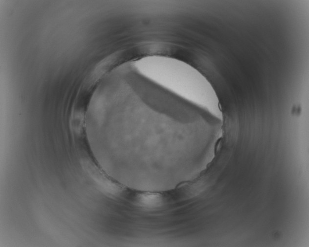 X0000110730189200907022119