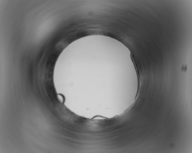 X0000110730190200907022119