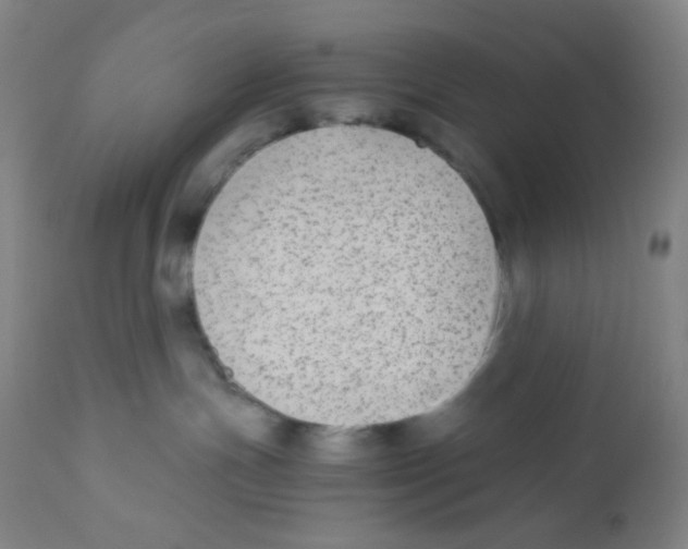 X0000110730191200907022119