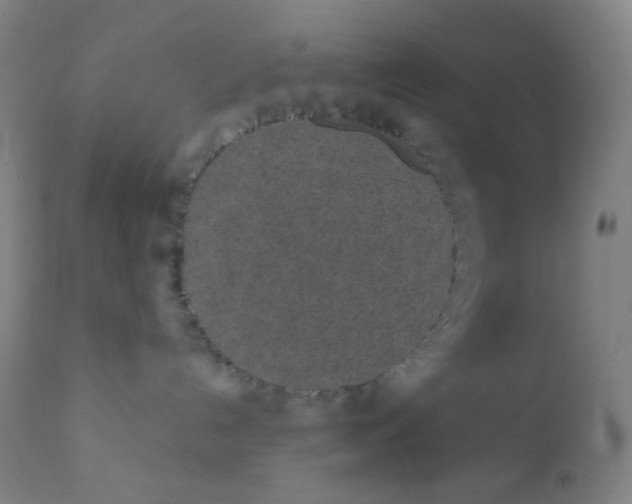 X0000110730192200907022119