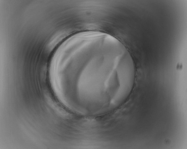 X0000110730194200907022118