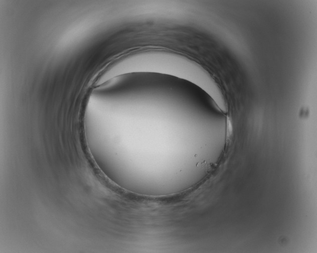 X0000110730195200907022118