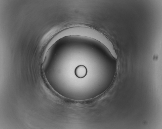 X0000110730197200907022118