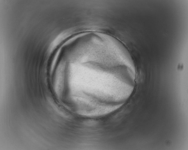 X0000110730198200907022118