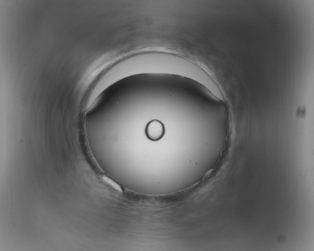 X0000110730199200907022118