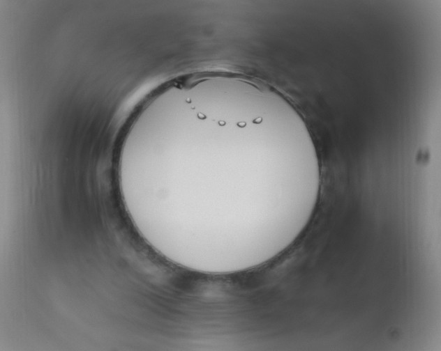 X0000110730200200907022118