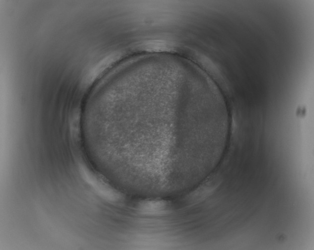 X0000110730202200907022118