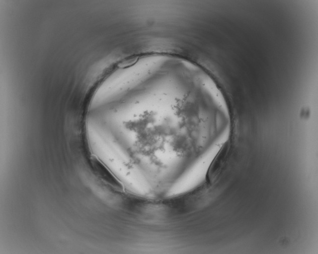 X0000110730203200907022118