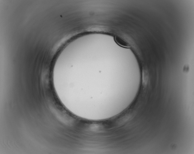 X0000110730204200907022118