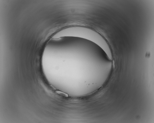 X0000110730205200907022118