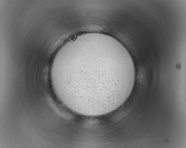 X0000110730206200907022118