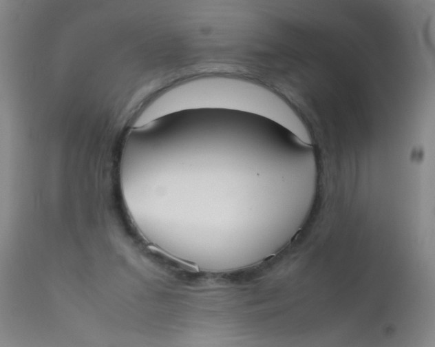 X0000110730207200907022118