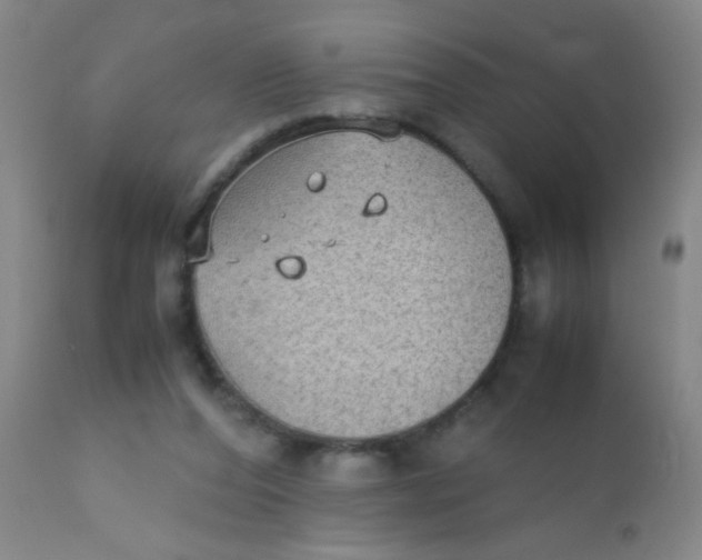 X0000110730208200907022118