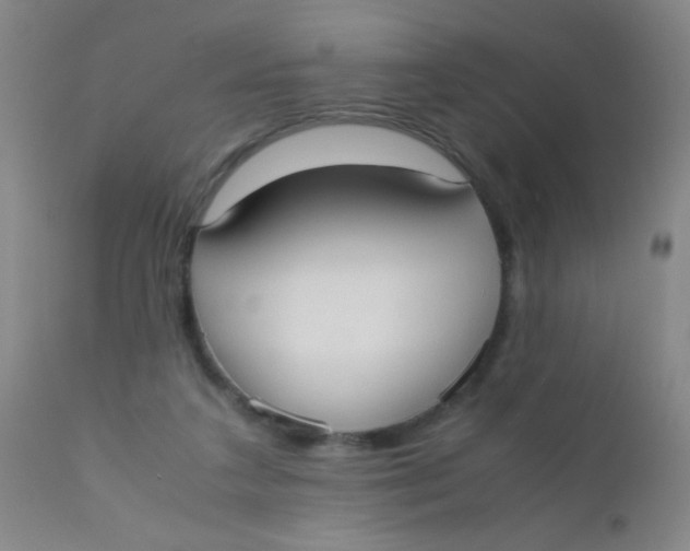 X0000110730211200907022118