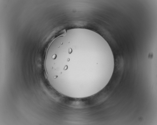 X0000110730212200907022118