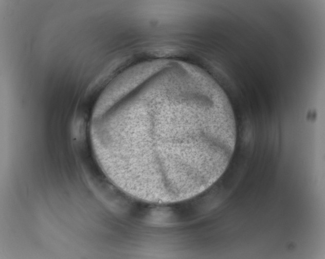 X0000110730214200907022118